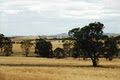 Booleroo View B&B image 2