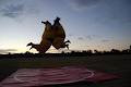 Canberra Sumo Suits image 3