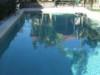 Kookaburra Pools image 4