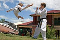 Moon Lee Tae Kwon Do Self Defence image 2