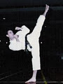 Moon Lee Tae Kwon Do Self Defence image 6