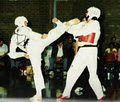 Moon Lee Tae Kwon Do Self Defence image 1