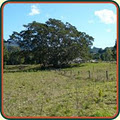 Mooyabil Farm Holidays image 6