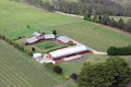 Mount Gisborne Wines image 1