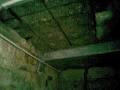 NJ Samson Bathroom Stop Leak image 1
