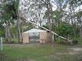 River City Tree Services image 1