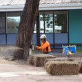 Territory Tree Service logo