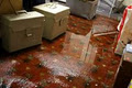 The Squeaky Clean Team Emergency Carpet Flood Restoration - Melbourne logo