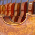 The Violin Studio image 6