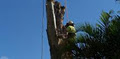 Treesafe Australia Pty Ltd image 4