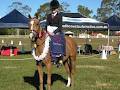 Tweed Equestrian - Murwillumbah Saddlery image 3