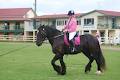 Tweed Equestrian - Murwillumbah Saddlery image 5