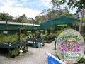 Wagon Wheel Nursery and Tea Garden image 2