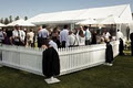 White Umbrella Marquee Hire Sydney image 6