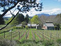 Wilmot Hills Vineyard image 1