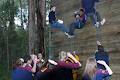 1st Deepdene Scouts image 6