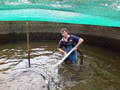 Adelaide Tank Cleaning logo