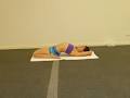 Bikram Yoga College of India Adelaide logo
