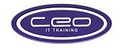CEO IT Training logo