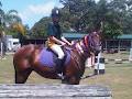 Canungra Pony Club Inc image 2