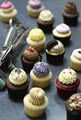 Cupcake Central Workshop image 6