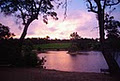 Deep Woods Estate image 1