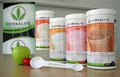 HERBALIFE INDEPENDENT DISTRIBUTOR image 2