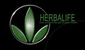 HERBALIFE INDEPENDENT DISTRIBUTOR logo