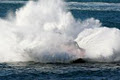 Hel-a-va Jet Boats Tweed Heads/Coolangatta image 1