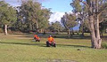 Kookaburra Ridge Quad Bike Tours image 3