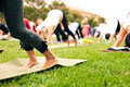 Lululemon athletica Bourke Street logo