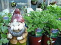 Mt Evelyn Garden Centre logo