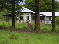 Noosa Avalon Farm Cottages image 6