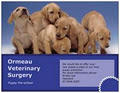 Ormeau Veterinary Surgery logo