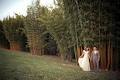 Possum Creek Wedding Venue Byron Bay image 3