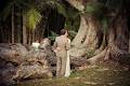 Possum Creek Wedding Venue Byron Bay image 6