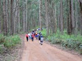 Rosanna Cub Scouts image 5