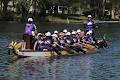 Sydney Dragon Sports Association Dragon Boat Club image 2