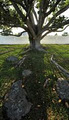 The Little White Chapel image 4