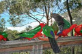 Treetops Wye River image 3