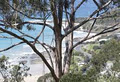 Treetops Wye River image 6