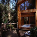 Woodlands Rainforest Retreat image 3