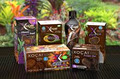 Xocia Healthy Chocolate logo