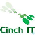 Cinch It image 2