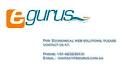 Egurus Web Solutions logo