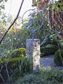 Garden Impressions image 3