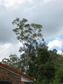 Heartwood Tree Solutions Pty Ltd image 6