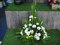 Kilmore Flowers image 3