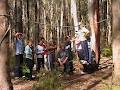 Kinglake Ranges Wilderness Camp image 6