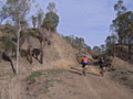 Linville - Blackbutt Rail Trail image 6